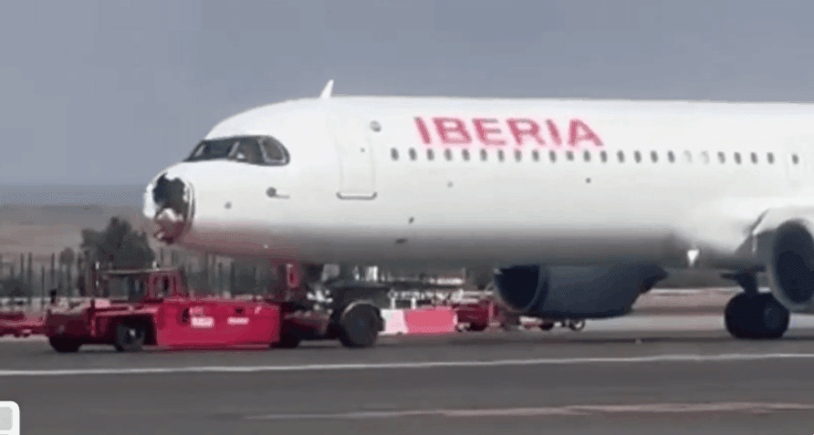 thumbnail - 현지시간으로 지난 3일 스페인 마드리드에서 출발해 프랑스 파리로 가던 이베리아 항공 여객기가 조류 충돌로 망가진 채 회항한 모습. 엑스 캡처