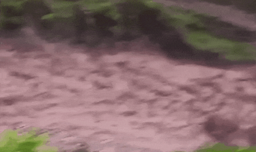 thumbnail - 지난 15일 파키스탄 북서부 카이베르파크툰크와주(州) 부네르 지역 등지에서 갑자기 내린 폭우에 따른 홍수로 최소 344명이 숨졌다.