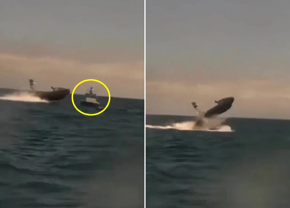 thumbnail - 멈춰 선 드론 함정을 들이받은 또 다른 드론이 수면 위로 튀어 오르는 순간. 캘리포니아 해안에서 촬영된 미 해군 자율 드론 함정 시험 장면으로, 최근 성능 논란에 불을 지핀 영상이다. 출처=MenchOsint 엑스(옛 트위터)