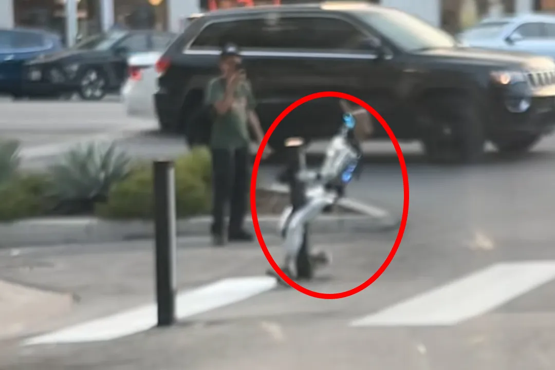 thumbnail - 틱톡 _jazsii