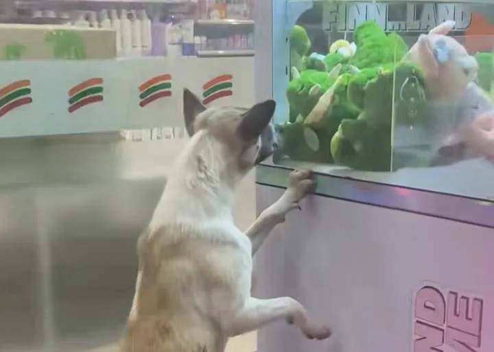 thumbnail - 틱톡 캡처