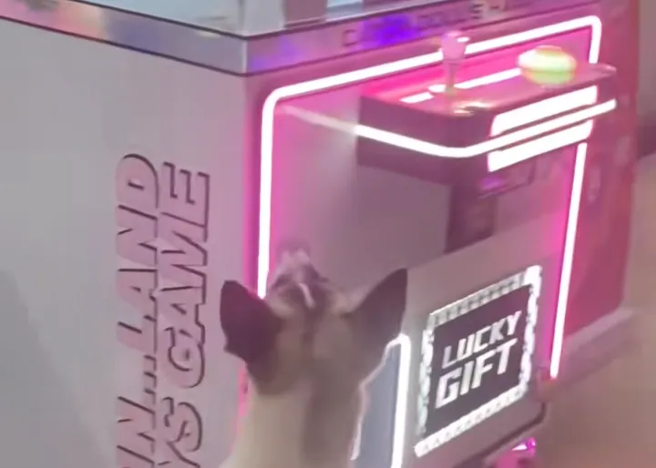 thumbnail - 틱톡 캡처