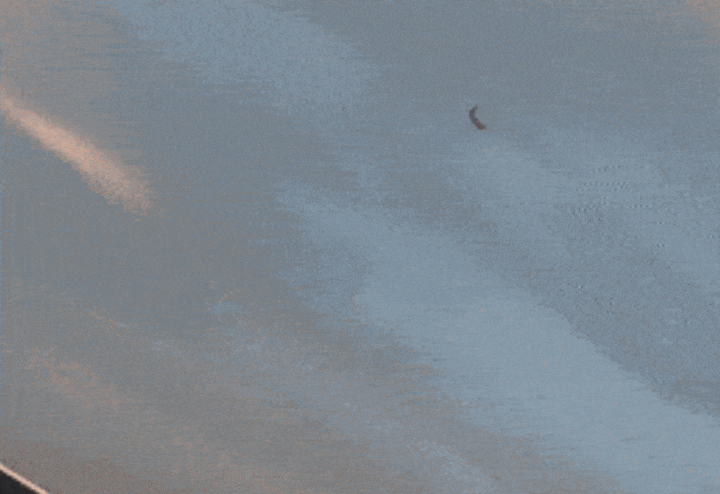 thumbnail - 사고 당시 모습을 담은 영상의 일부