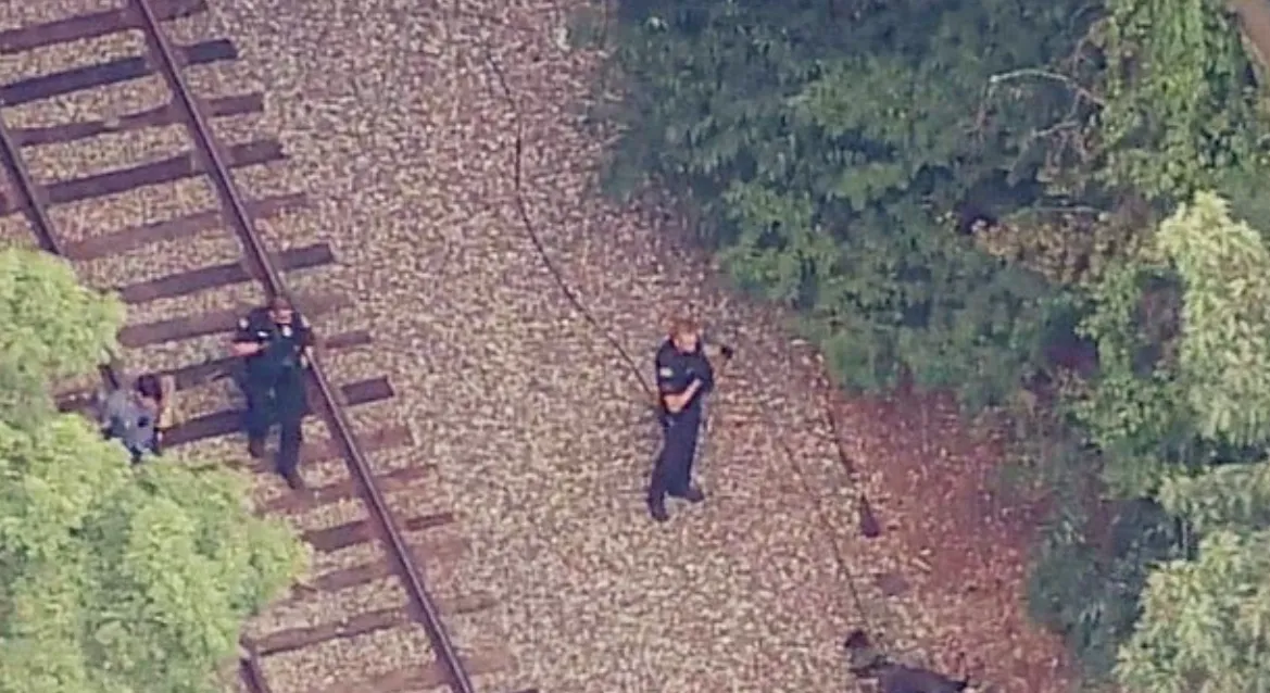 thumbnail - 현지시간으로 3일 미국 메사추세츠대학 로웰 캠퍼스 인근에서 총을 든 사람이 활보하는 영상이 유포돼 당국이 조사에 나섰다. 사진은 캠퍼스 내를 수색하는 경찰의 모습. abc7뉴스 캡처