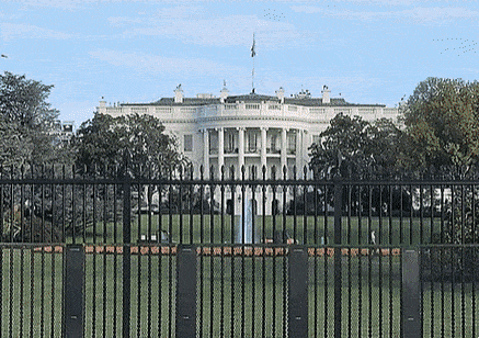 thumbnail - ‘영부인 하기 싫었던 멜라니아’, ‘힘들 때마다 보는 트럼프 영부인 짤’