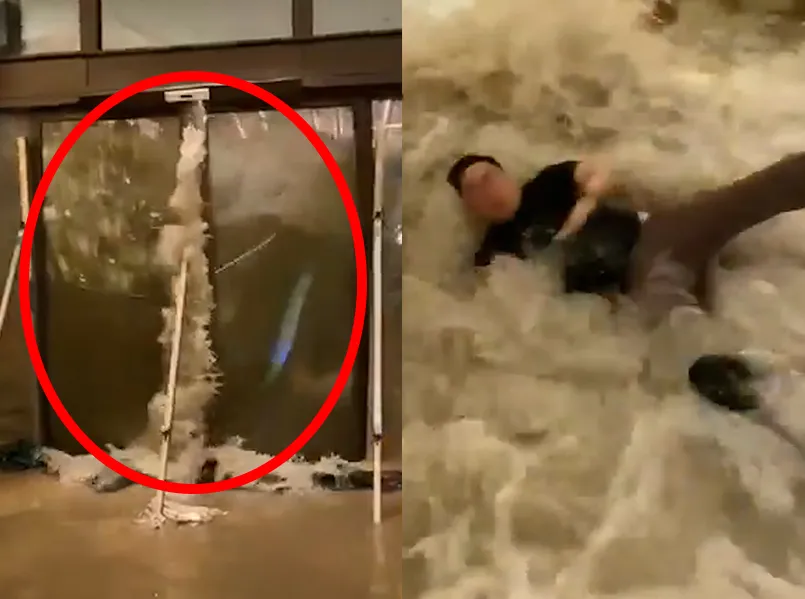 thumbnail - 엑스(X) 캡처