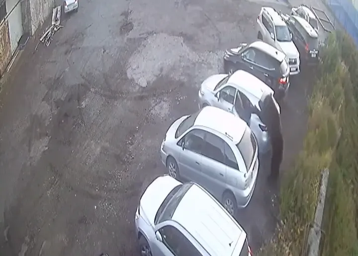 thumbnail - 엑스 캡처