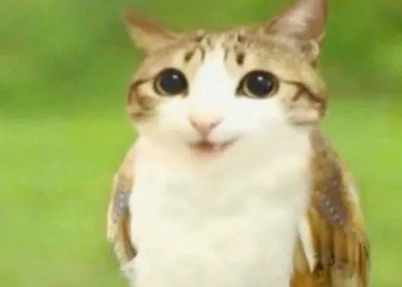 thumbnail - 틱톡 캡처