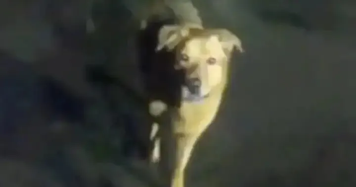 thumbnail - 엑스 캡처