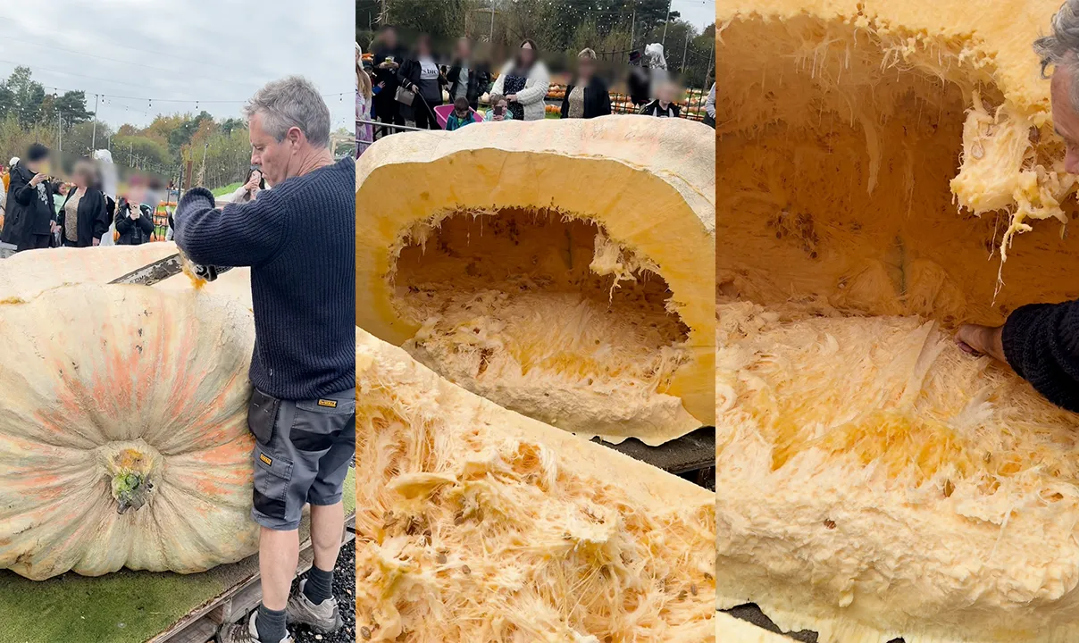 thumbnail - 틱톡 ianpaton3 캡처