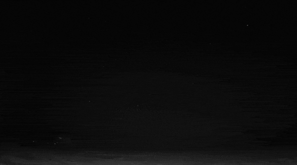 thumbnail - 젤렌스키 대통령이 공개한 영상의 일부