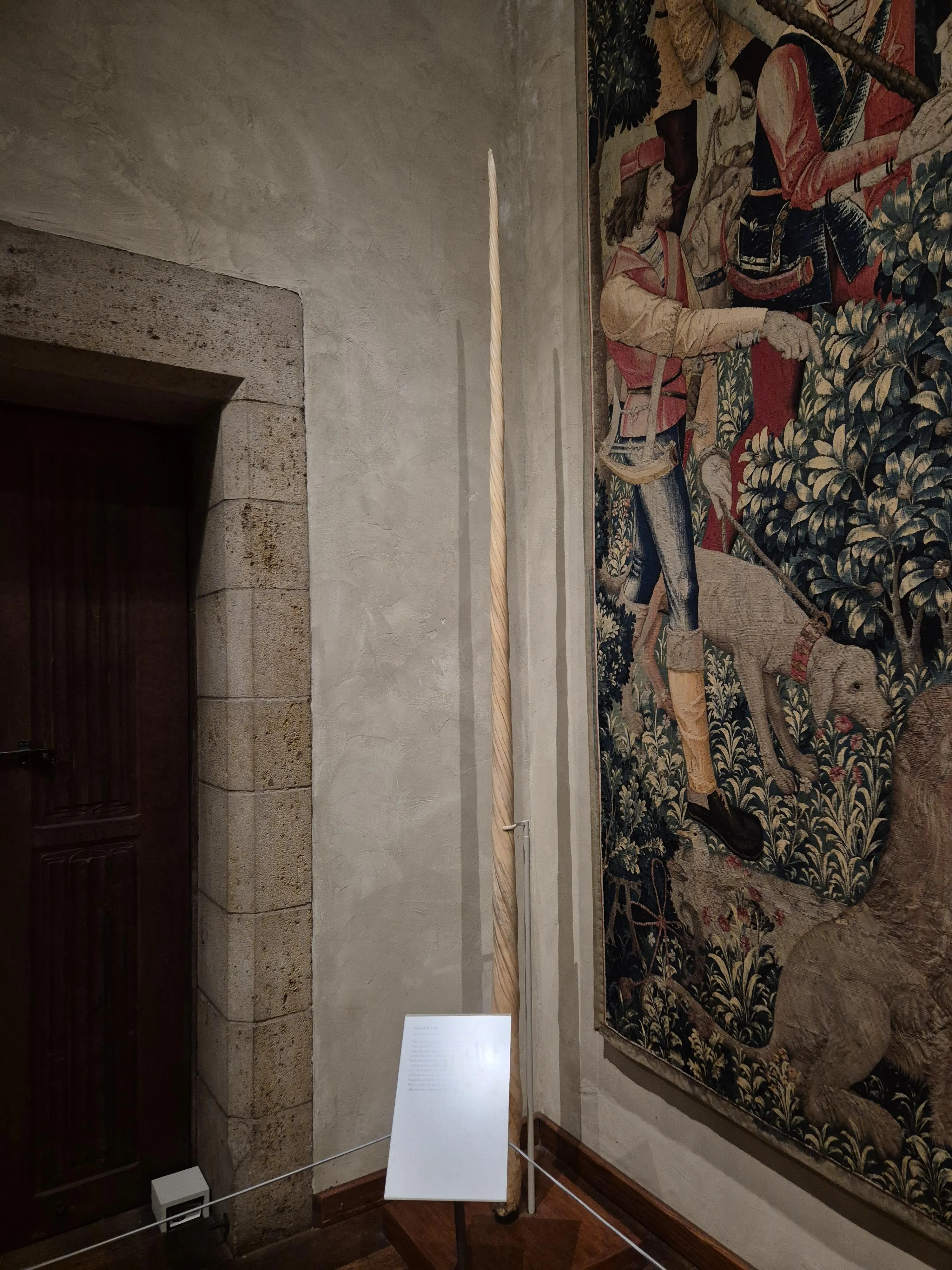 thumbnail - ‘유니콘의 사냥’과 함께 전시 중인 일각고래 엄니