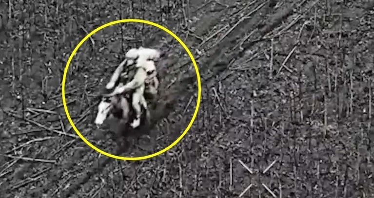 thumbnail - [포착] 21세기 전쟁에 웬 기병대?…러 군, 말 타고 진격하다 드론에 ‘쾅’ (영상)