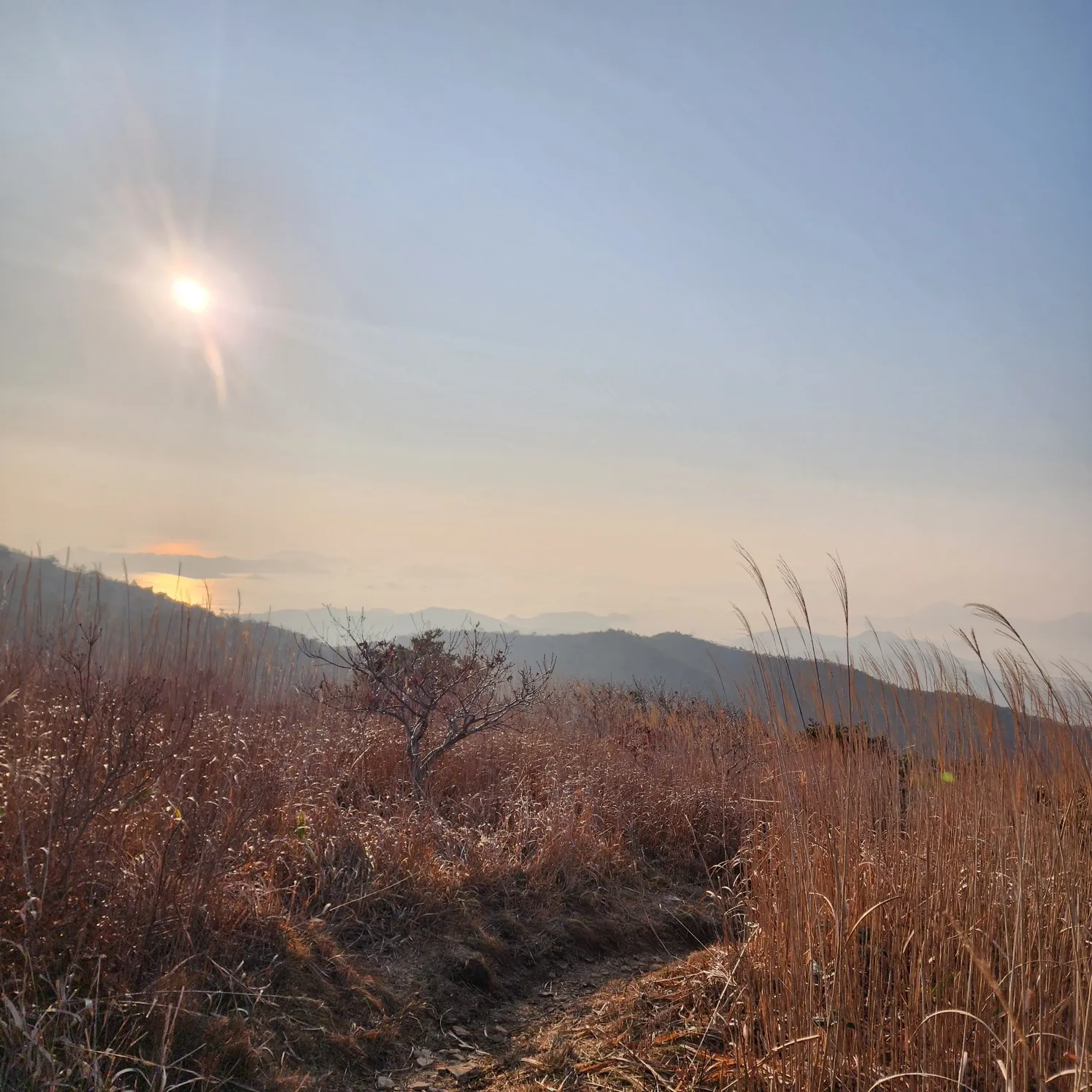 thumbnail - 천관산 풍경