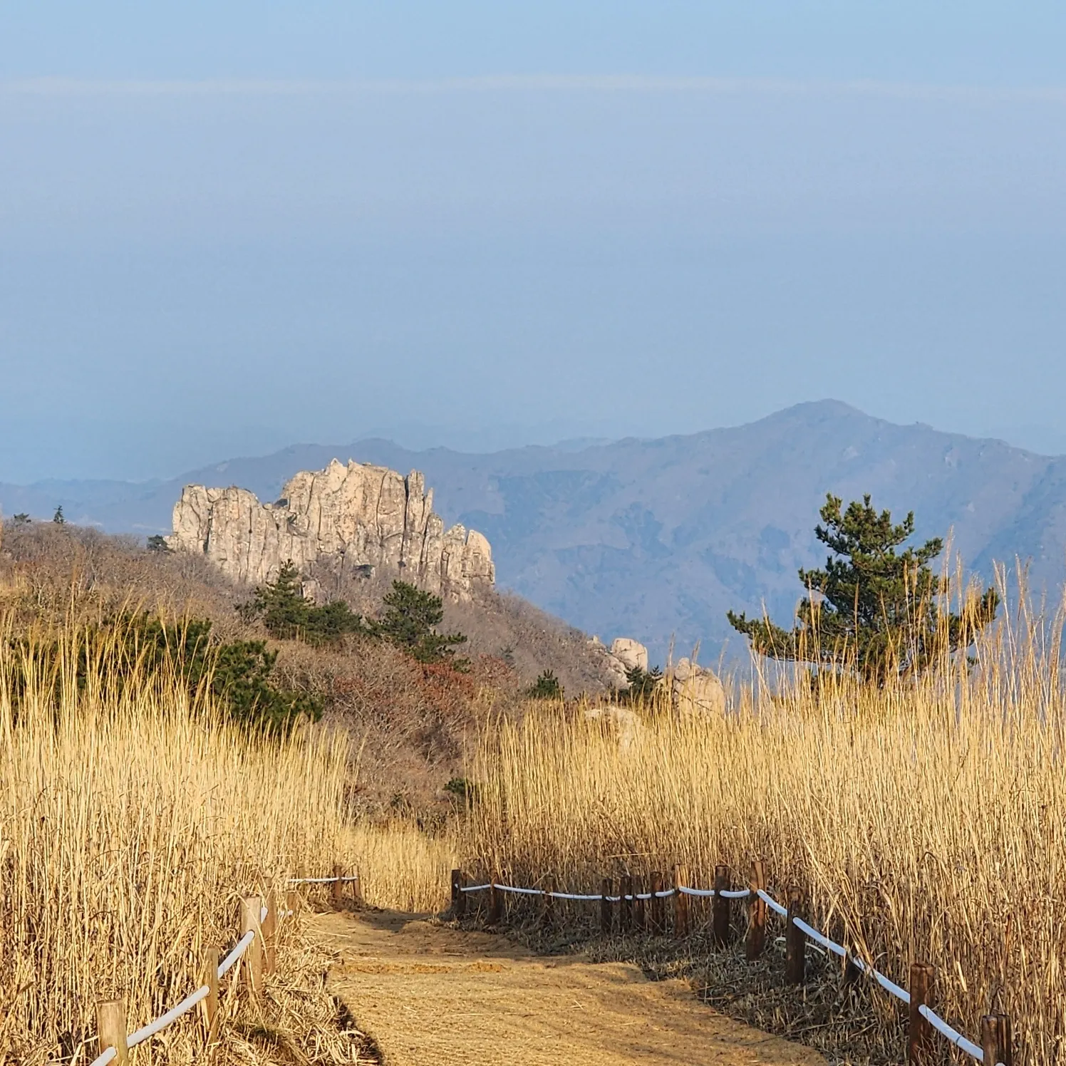 thumbnail - 천관산 억새길