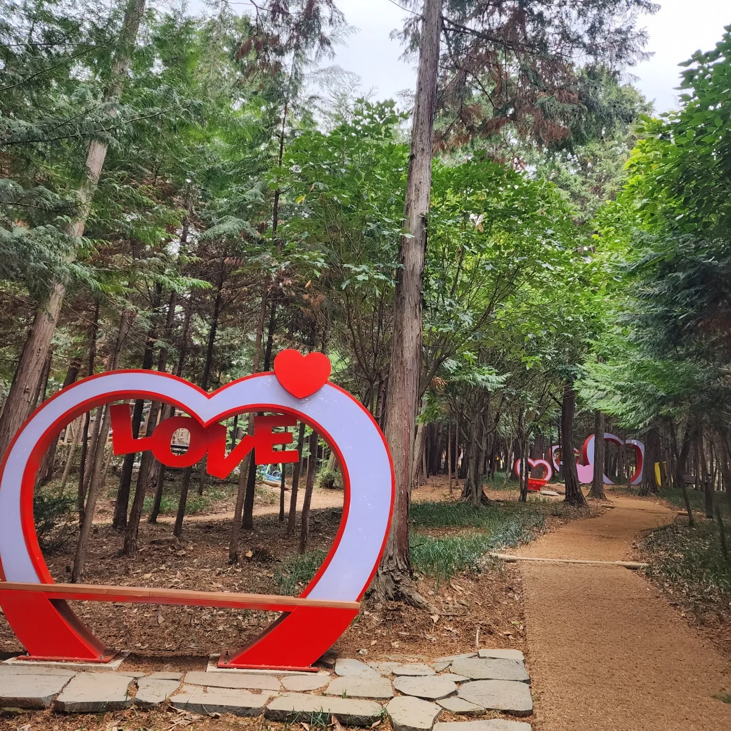 thumbnail - 피톤치드 가득한 장흥 우드랜드