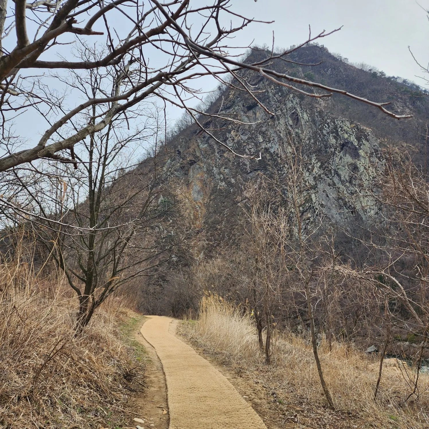 thumbnail - 월류봉 둘레길의 모습