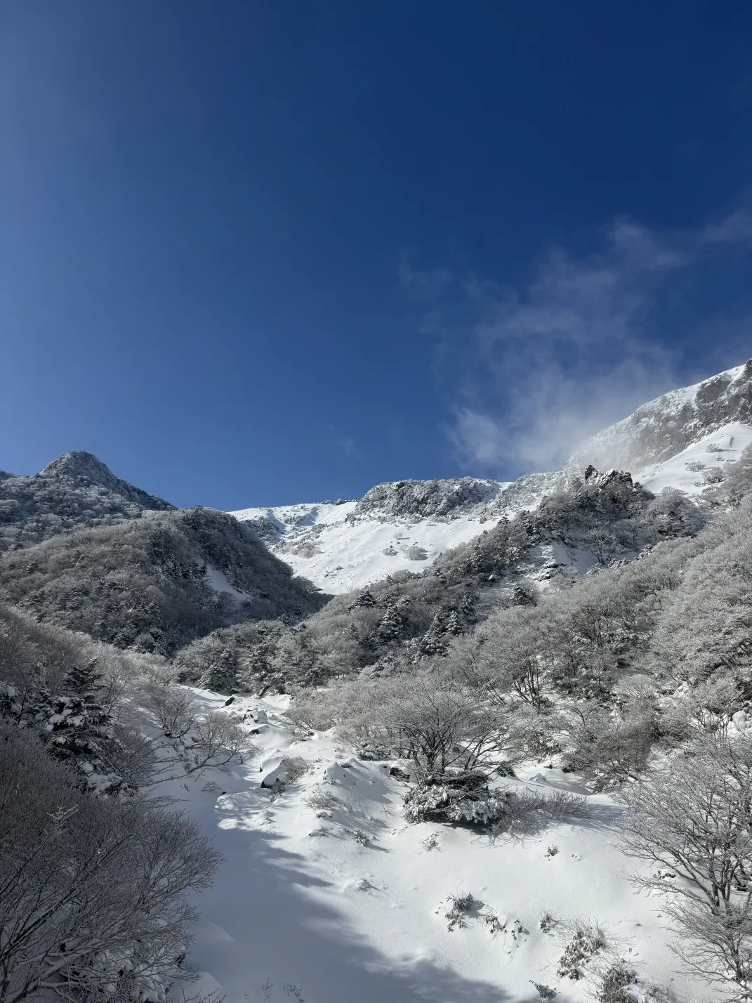 thumbnail - 한라산의 설경