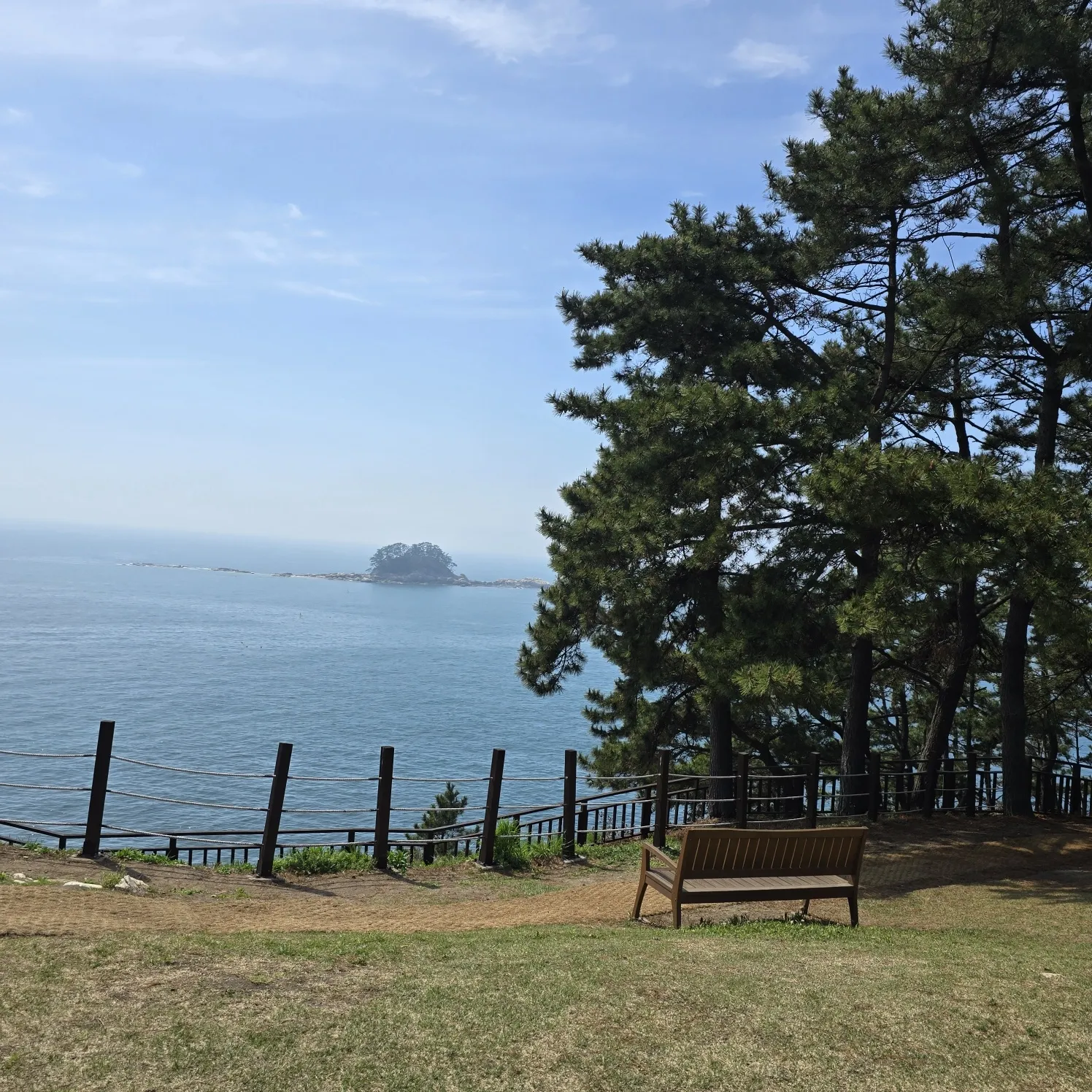 thumbnail - 마량리 동백나무 숲에서 바라본 오력도