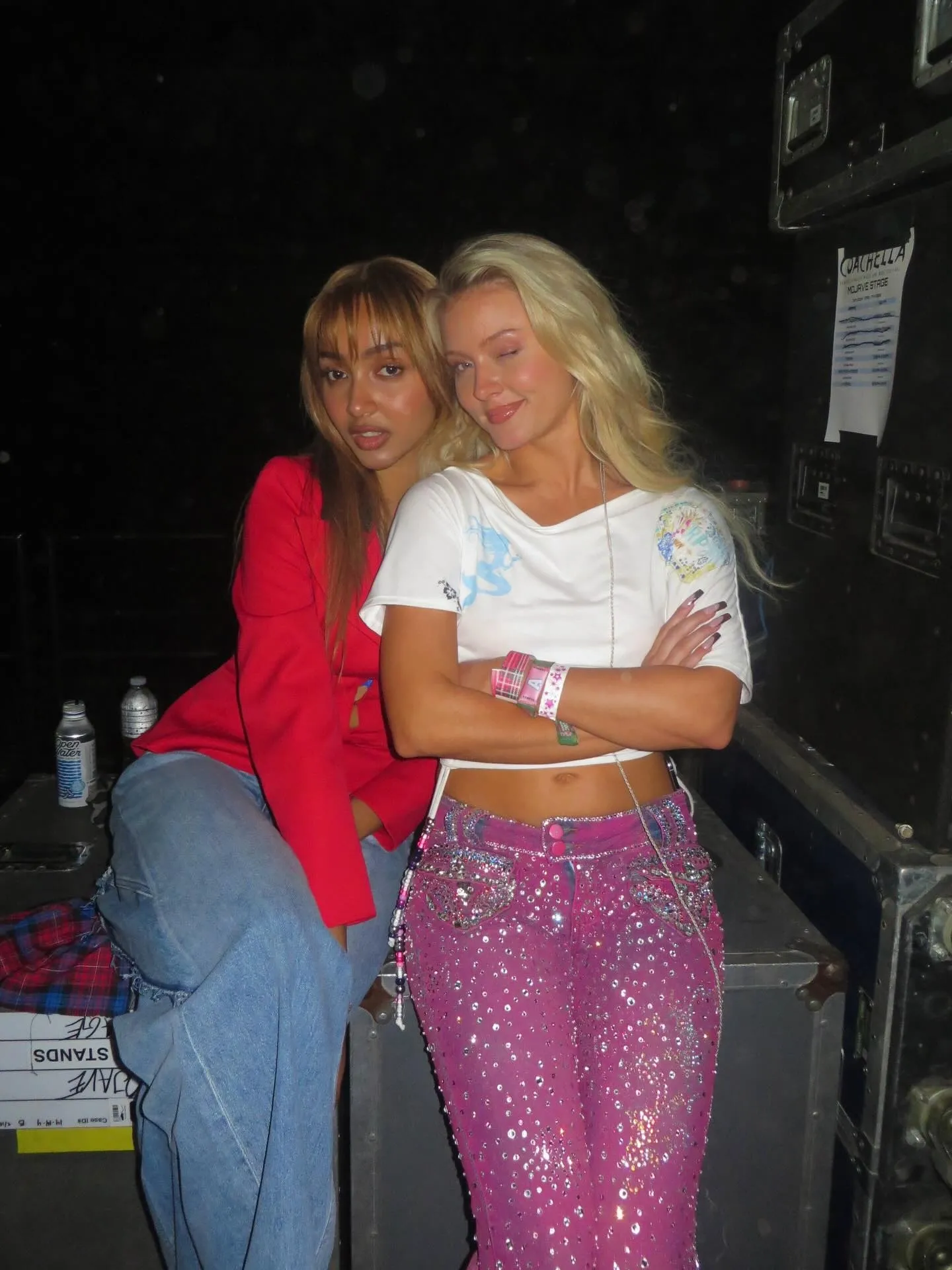 thumbnail - 핑크팬서리스와 자라 라슨. 출처=자라 라슨 인스타그램