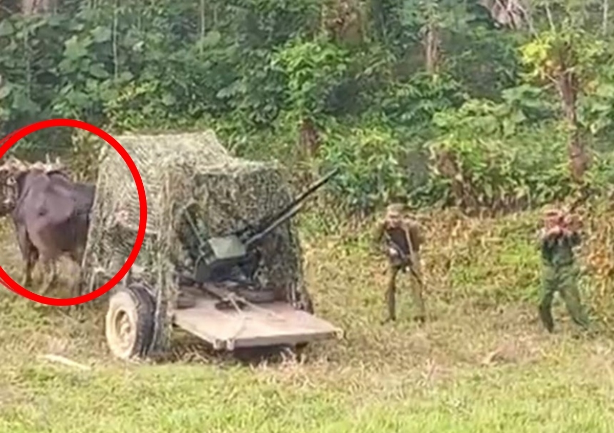 thumbnail - ‘소달구지’로 트럼프에 맞선다고? “드론 모를 듯” 조롱