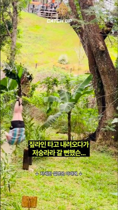 thumbnail - (영상) 내려오다 공중에서 ‘빙글’…아찔한 짚라인 사고 순간