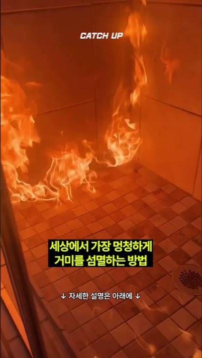 thumbnail - (영상) 집에 들어온 거미를 가장 무자비하게 소탕하는 방법