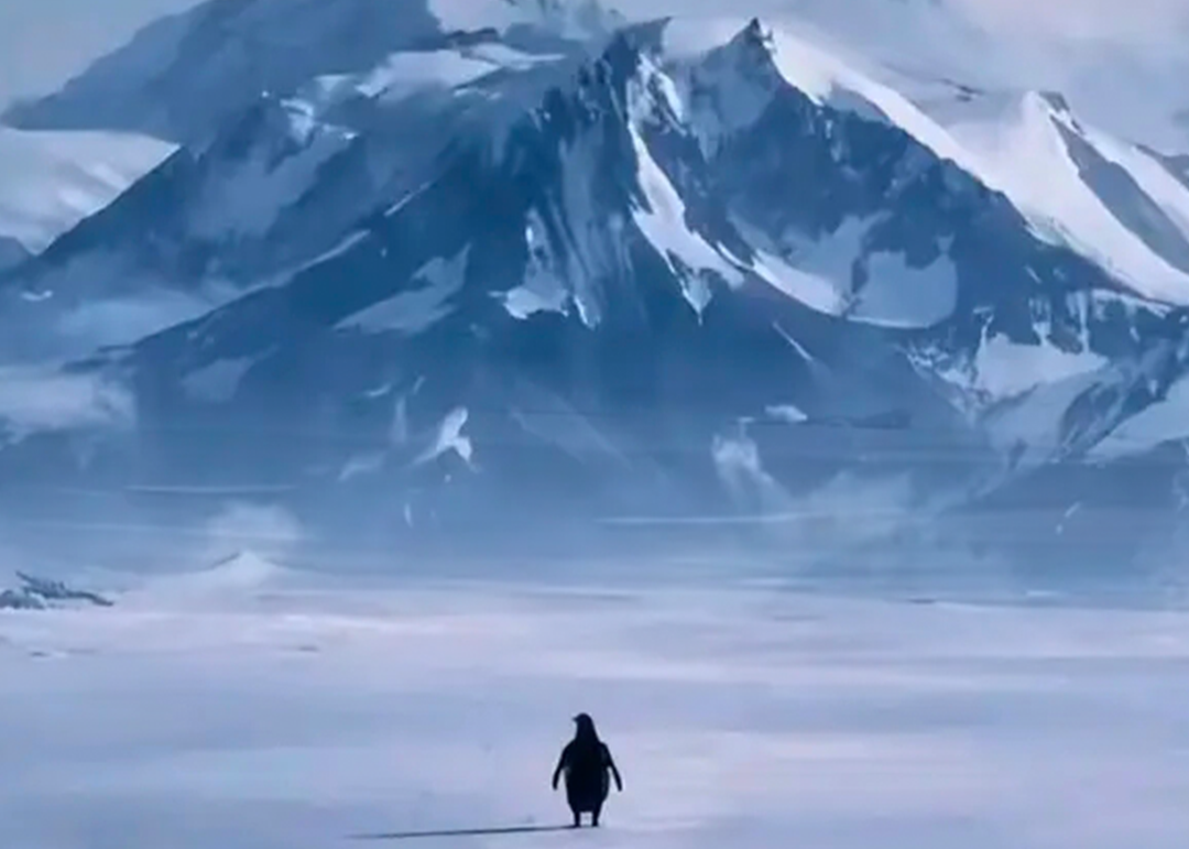 thumbnail - 왜 사람들은 혼자 산으로 걸어간 펭귄에 열광할까? [트렌드 케찹]