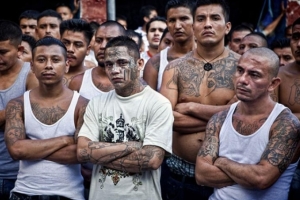 thumbnail - “솜방망이 처벌은 가라” 엘살바도르 사법부, 갱단에 잇따라 수백 년 징역 [여기는 남미]
