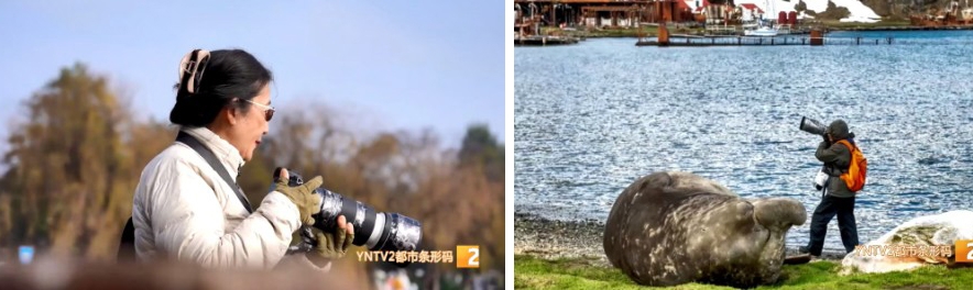 thumbnail - 암 진단에 전 재산 털어 남극으로…새 따라 30개국 누비며 ‘제2의 인생’사는 사진사 [여기는 중국]