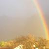 [남아공포토] 선명한 무지개가 뜬 케이프타운