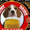 “우리도 한잔할까?” 애완견 맥주 日서 인기