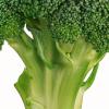 美 암연구소 “브로콜리, 전립선암 예방에 탁월”