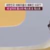 메이크업 박태윤 “이효리를 바둑이로…”