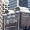 퀘이크워즈, “한달간의 전국 투어를 즐겨라!”