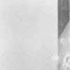 ‘익사’ 나탈리 우드, 남편이 살해? 17년만에 의혹 제기