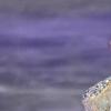 김연아, IB스포츠와 결별하고 주식회사 설립