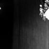 슈퍼주니어, 4집 타이틀곡 ‘미인아’ 10일 공개