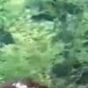 길, 트위터 통해 원주민 된 ‘무도’멤버 미방송분 공개