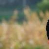 황기순, ‘원정도박’ 심경고백 “소중한 걸 깨달아”