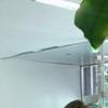 ‘우결’ 닉쿤-빅토리아, 운전면허장 커플 직찍 눈길