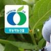 e몰, 블루베리·복분자 등 제철 ‘베리 특가전’ 선봬