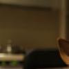 이민호, 강아지 ‘초코’ 트위터에 ‘깜짝 공개’