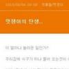 권재관-김경아, 임신 6주…태명은 ‘멋쟁이’