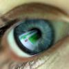 사람 눈의 시신경 갉아먹는 기생충 발견