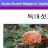 독버섯 먹은 일가족사망, 가을철 독버섯 주의보 발령