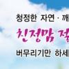 연기군, 절임배추 1년전 가격으로 선착순 한정 공급
