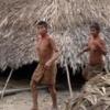 문명과 단절된 채 사는 ‘아마존 원주민’ 발견
