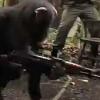 “덤벼라”…자동소총 쏘는 침팬지 동영상 화제