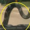 “헉!” 고속도로 달리는데 앞유리에 뱀이…
